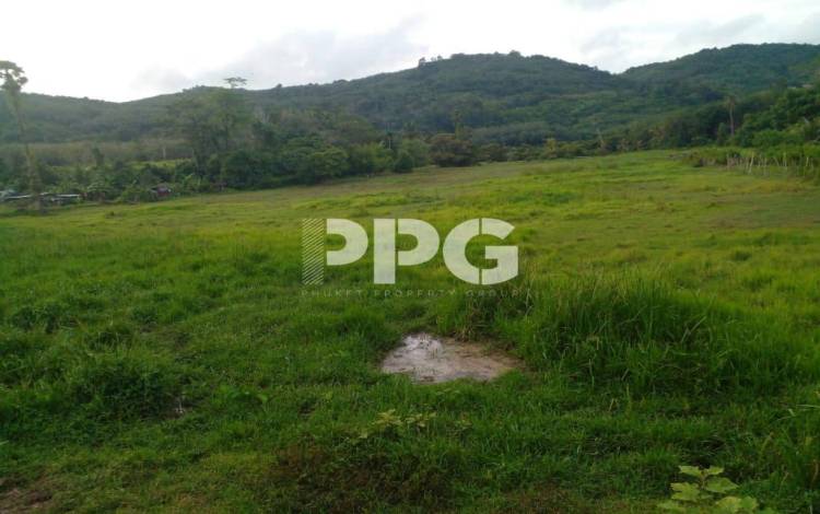 Phuket, ,Land,SOLD,2565