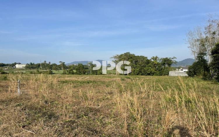 Phuket, ,Land,For Sale,2668