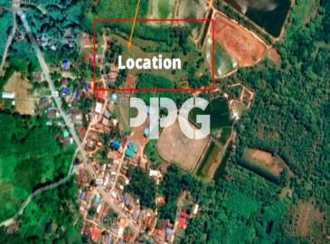 Phuket, ,Land,For Sale,2372