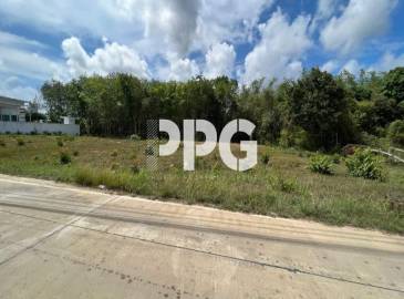 Phuket, ,Land,For Sale,2378