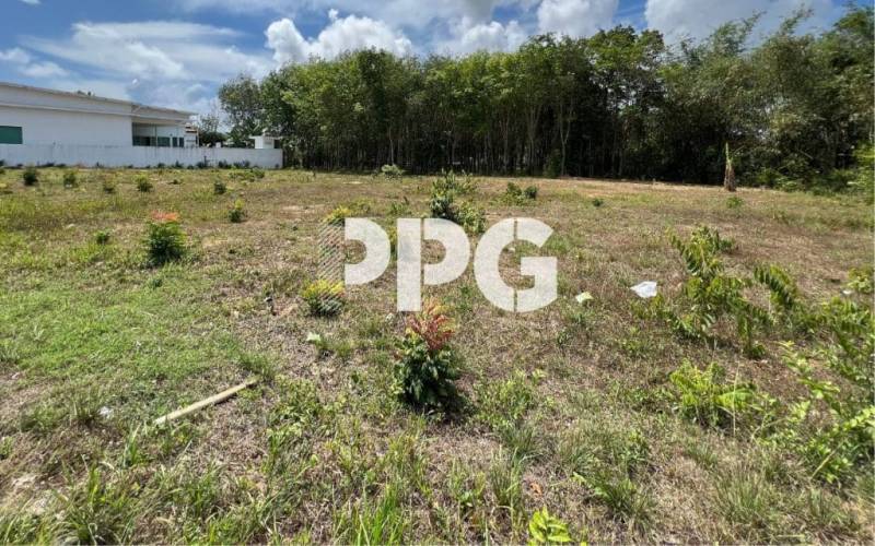 Phuket, ,Land,For Sale,2378