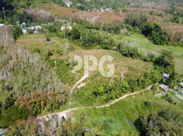 Phuket, ,Land,SOLD,2565