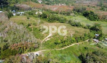 Phuket, ,Land,SOLD,2565