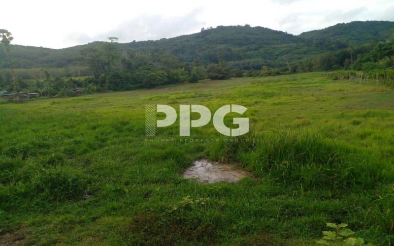 Phuket, ,Land,SOLD,2565