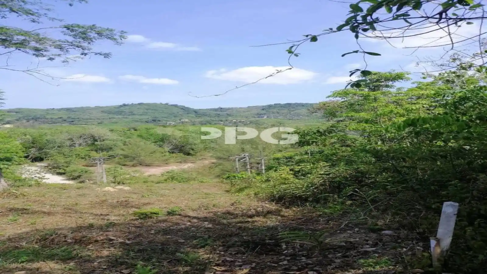 Phuket, ,ที่ดิน,SOLD,2505