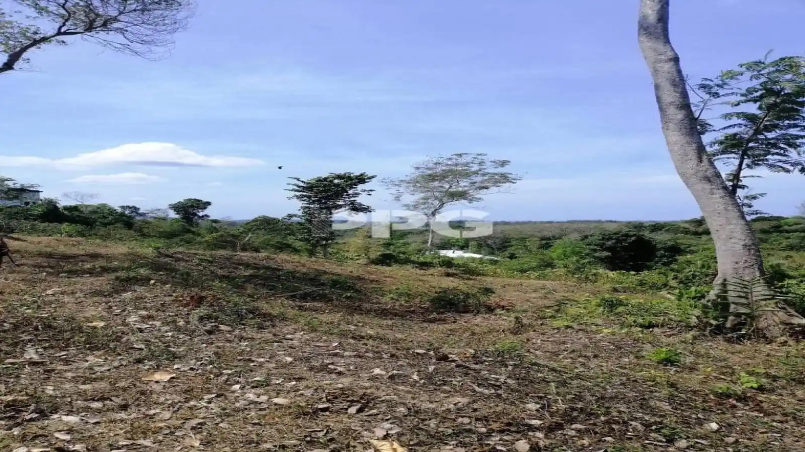 Phuket, ,ที่ดิน,SOLD,2505