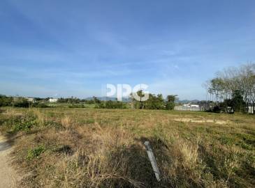Phuket, ,Land,For Sale,2530 Phuket, ,Land,For Sale,2530