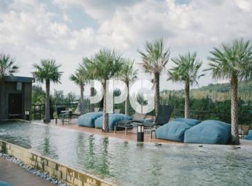 Phuket, 1 Bedroom Bedrooms, ,1 BathroomBathrooms,Condo,For Sale,2619 Phuket, 1 Bedroom Bedrooms, ,1 BathroomBathrooms,Condo,For Sale,2619